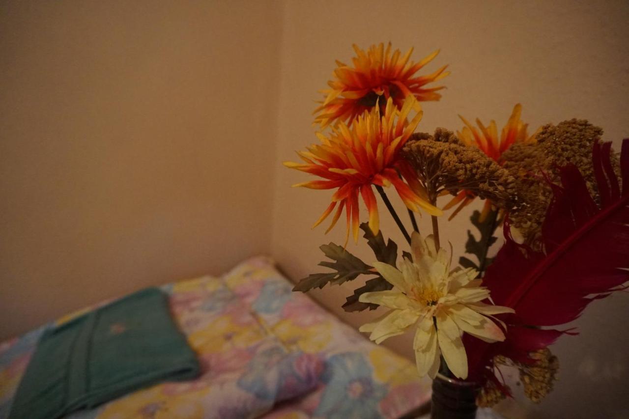Piri Vendeghaz Hotel Hajduboszormeny Bagian luar foto