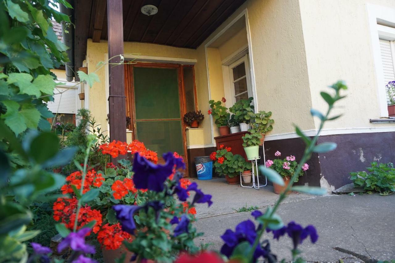 Piri Vendeghaz Hotel Hajduboszormeny Bagian luar foto